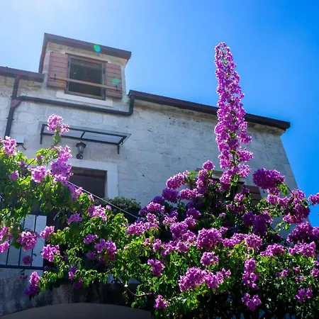 And Marino Trogir